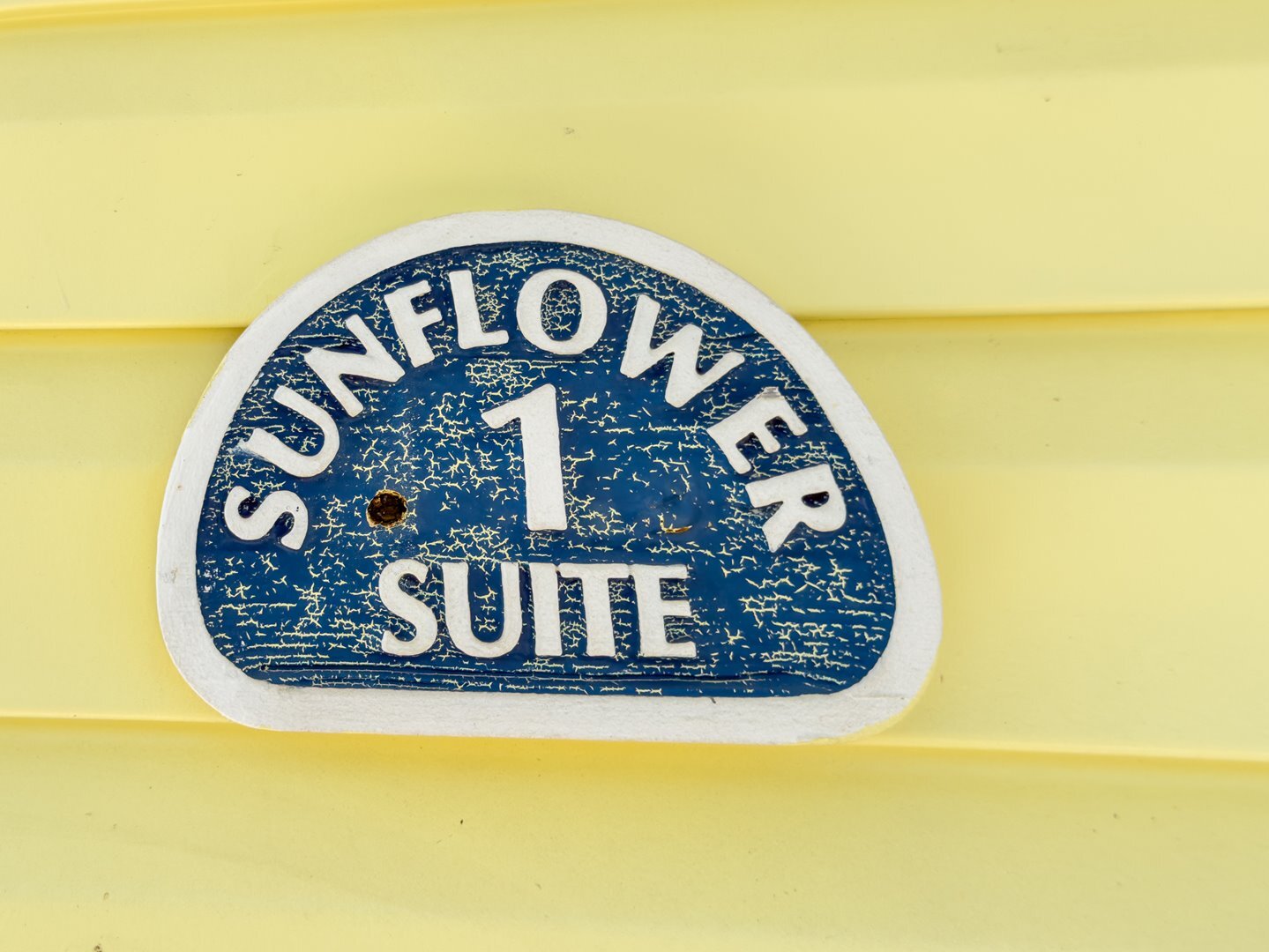 Sunflower in Longboat Key, FL