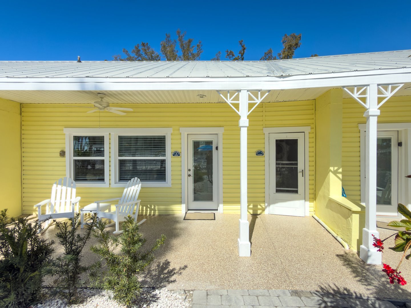 Periwinkle in Longboat Key, FL
