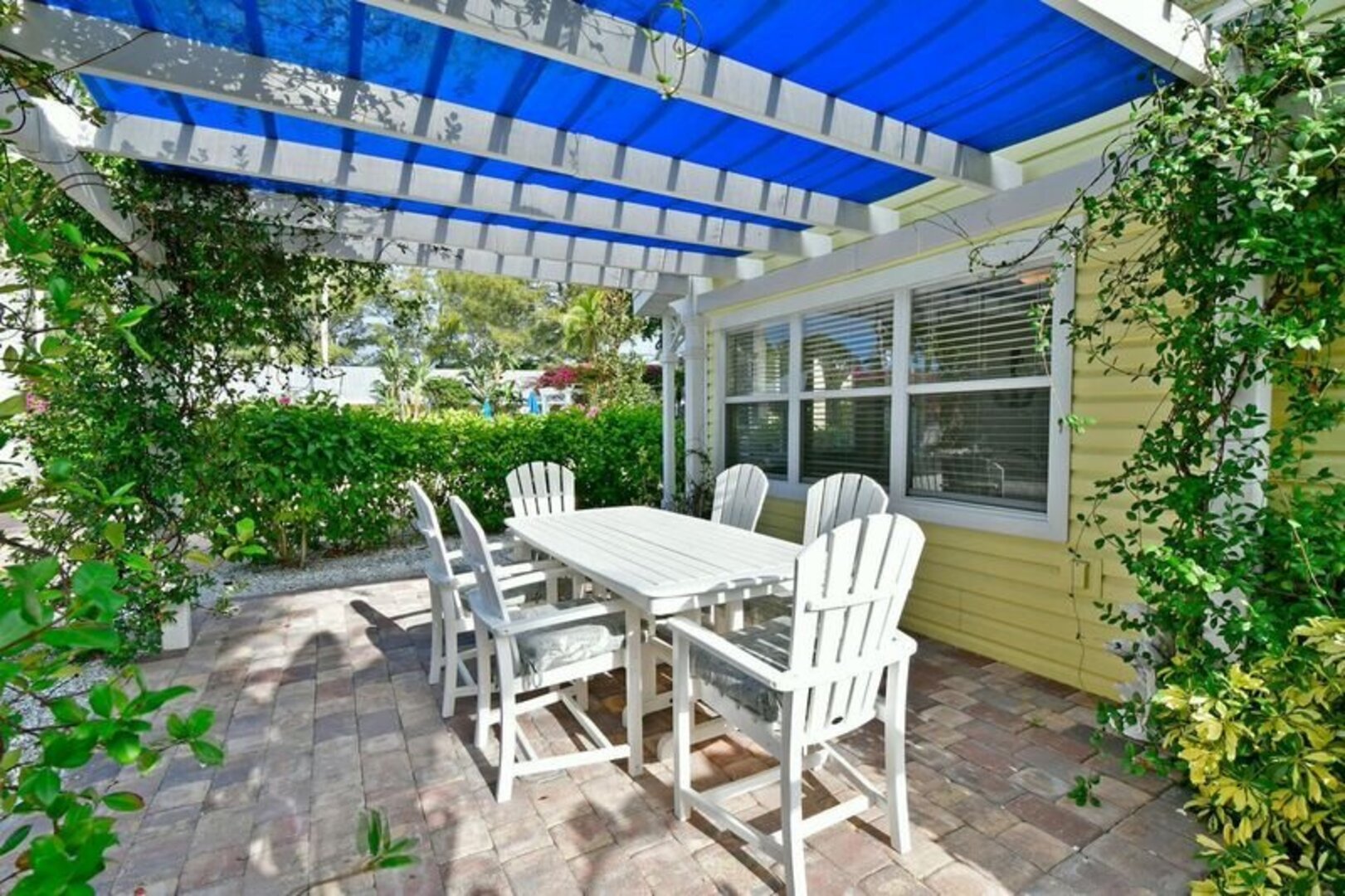 Bougainvillea in Longboat Key, FL