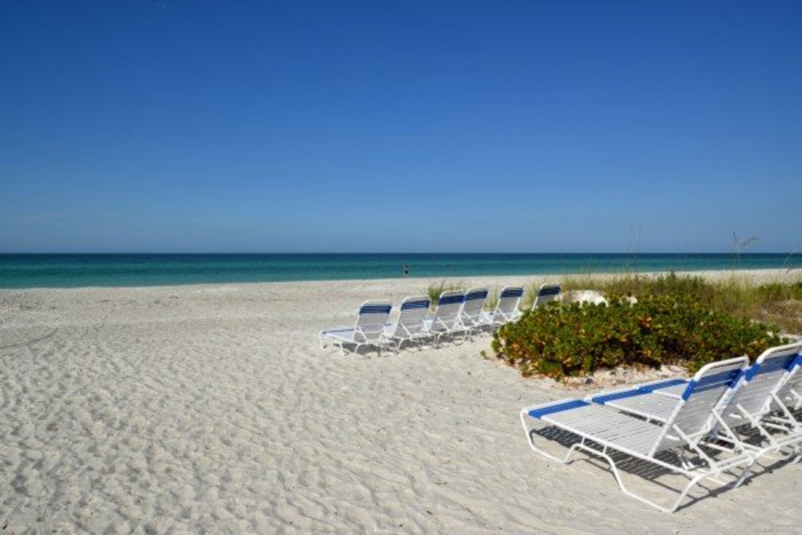 Magnolia in Longboat Key, FL
